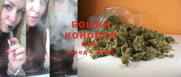прущие крисы Абаза