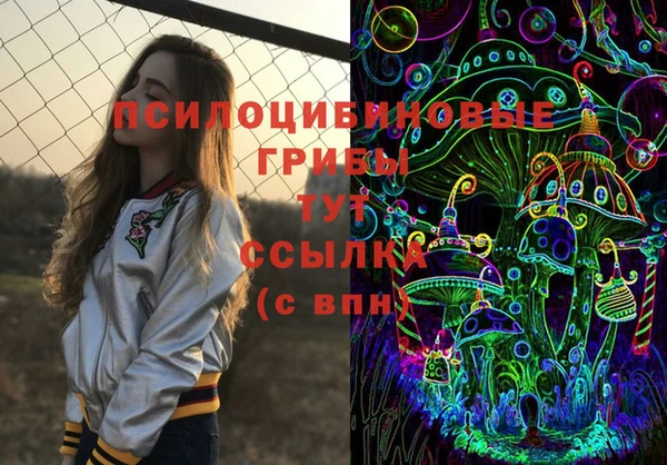 ГАЛЛЮЦИНОГЕННЫЕ ГРИБЫ Алексеевка