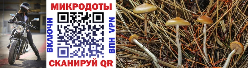 Псилоцибиновые грибы ЛСД  Котовск 