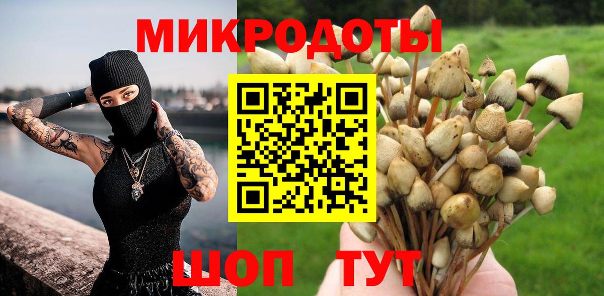 Псилоцибиновые грибы мицелий Котовск
